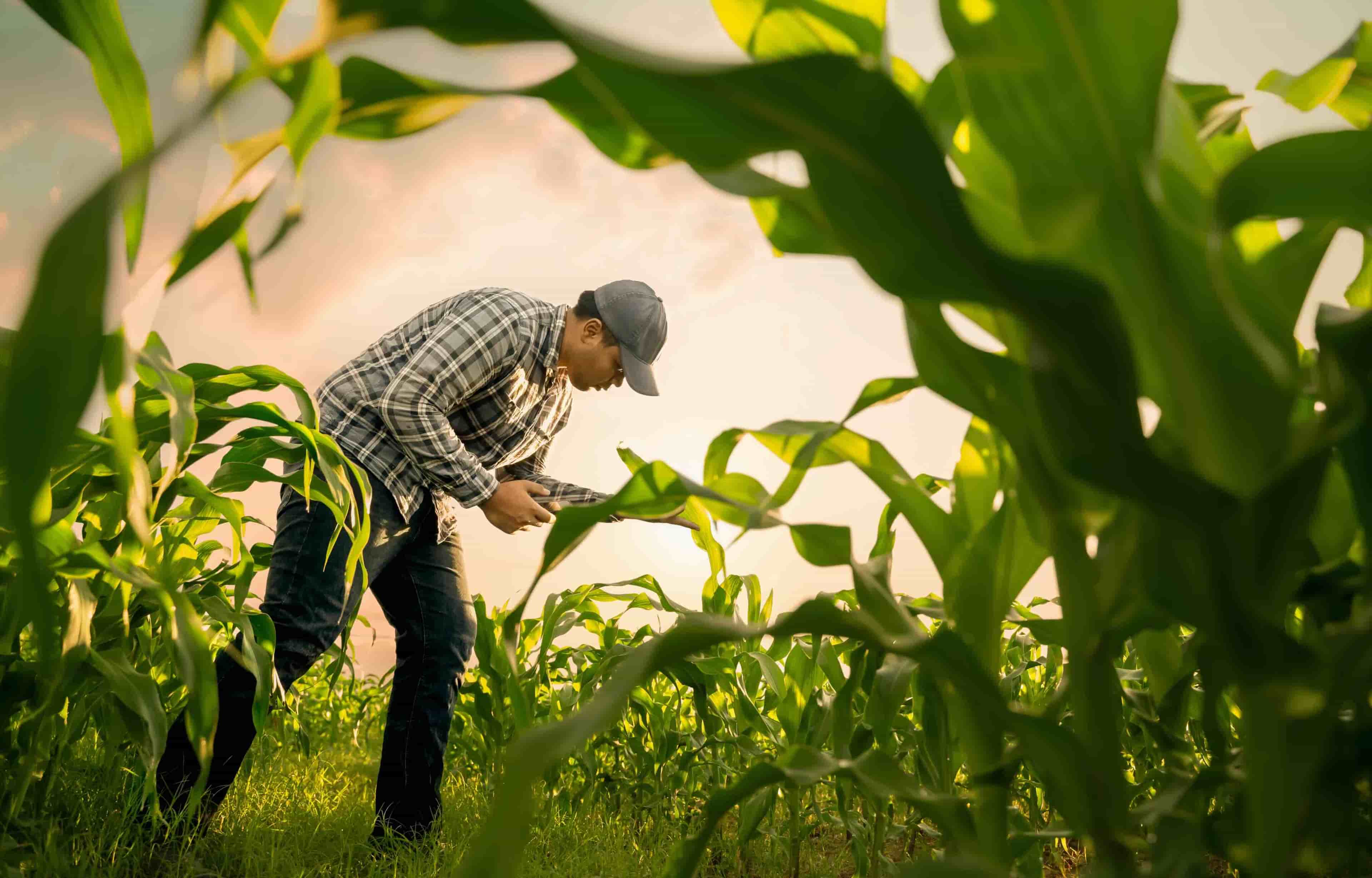 Product Catalogue Hero