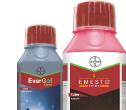 Grow more, Grow smart