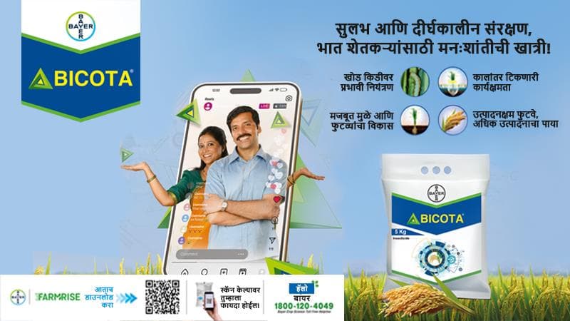 Marathi Bicota