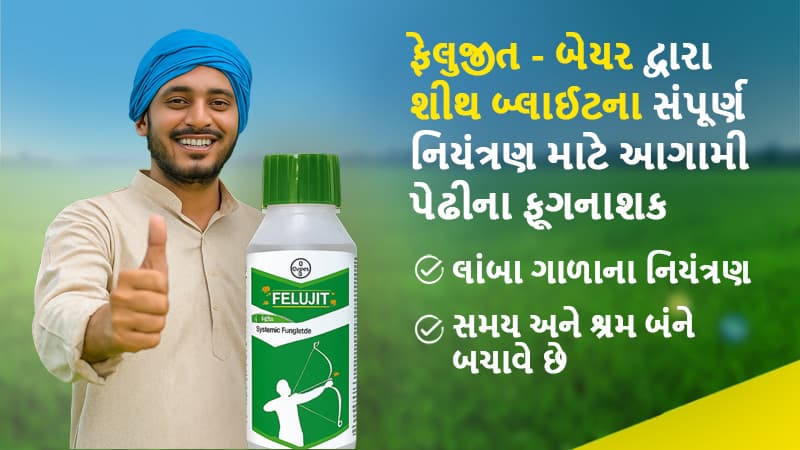 Felujit GJ