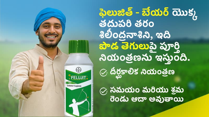 Felujit Banner Telugu