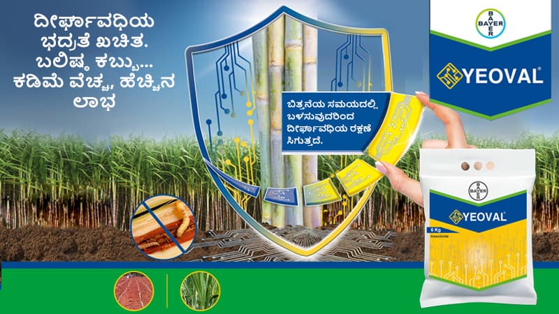 Yevol Banner Kannada